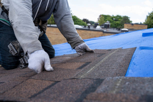 Best Roof Gutter Cleaning  in Allen, TX